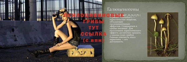 стаф Каменск-Шахтинский
