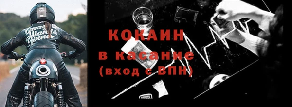 стаф Каменск-Шахтинский