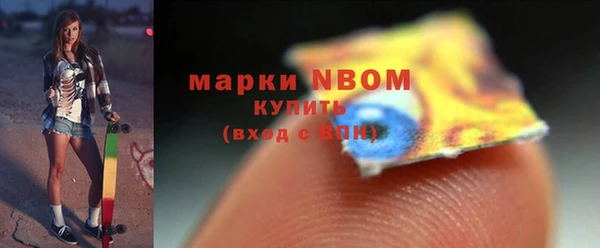 первитин Каменка