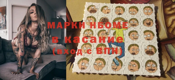 стаф Каменск-Шахтинский