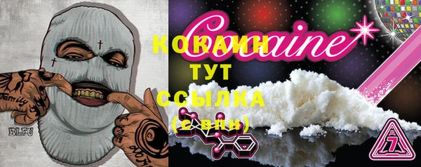 стаф Каменск-Шахтинский