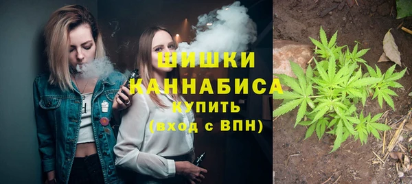 первитин Каменка