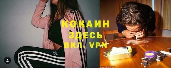 первитин Каменка