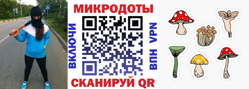 Галлюциногенные грибы мицелий  Купить  Ленинск 