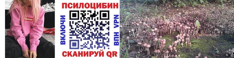 Галлюциногенные грибы Cubensis Ленинск